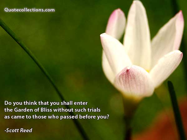 Scott Reed Quotes5